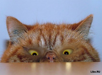 1244006465_3.jpg (26.13 KB), Просмотрено 106992 раз(а)